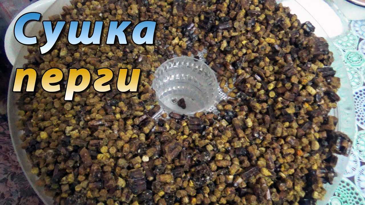 Перга пчелиная: разбираем во всех подробностях