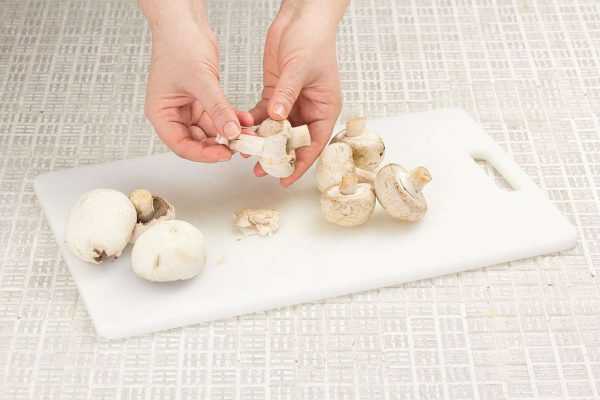 Как чистить грибы: красноголовики, белые, сыроежки, маслята, моховики, лисички, вешенки и другие