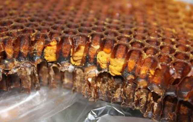 Свойства перги пчелиной - медицинский портал eurolab