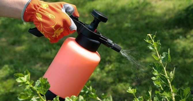 Препарат 30: инструкция по применению инсектицида для обработки сада весной, отзывы