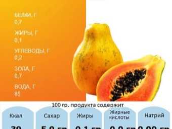 Польза папайи: хранение, показания и противопоказания к употреблению (видео + 75 фото)