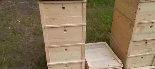 Двухкорпусный улей:как сделать двухкорпусный улей,содержание пчел, плюс и минусы конструкции