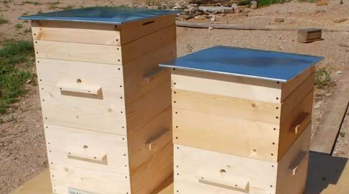 Содержание пчел в многокорпусных ульях – технология и методы пчеловождения
