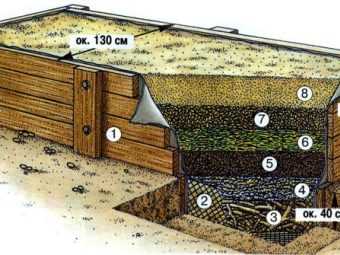 Тёплая грядка для огурцов: заготовка компоста осенью или весной, выбор места для грядки