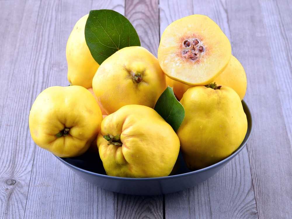 Айва - все о свойствах, фото плодов - рецепты варенья из айвы