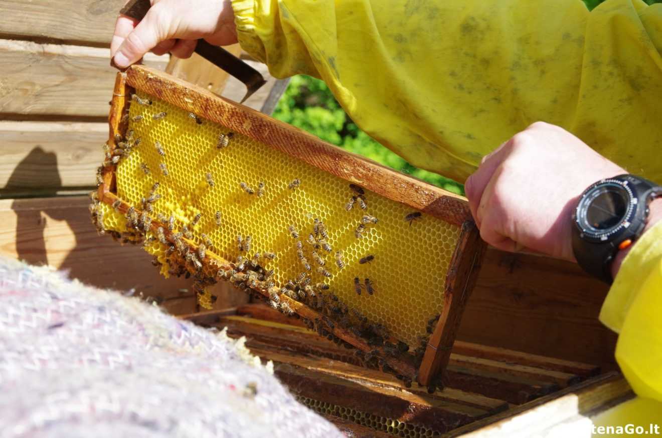 Самоделки для пчеловодства – стамески, ножи для сот, опрыскиватель