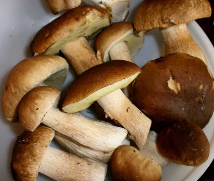 Как и сколько варить сушеные грибы?