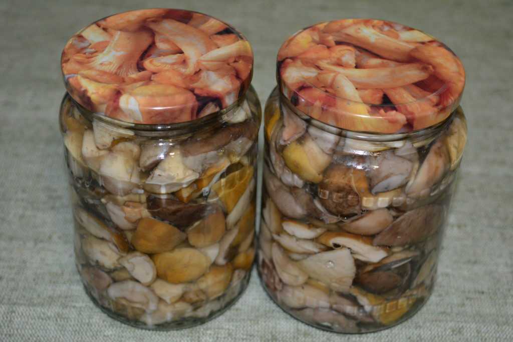 Как готовить грибы-зонтики - рецепты приготовления съедобных грибов, на зиму и как чистить и хранить грибы