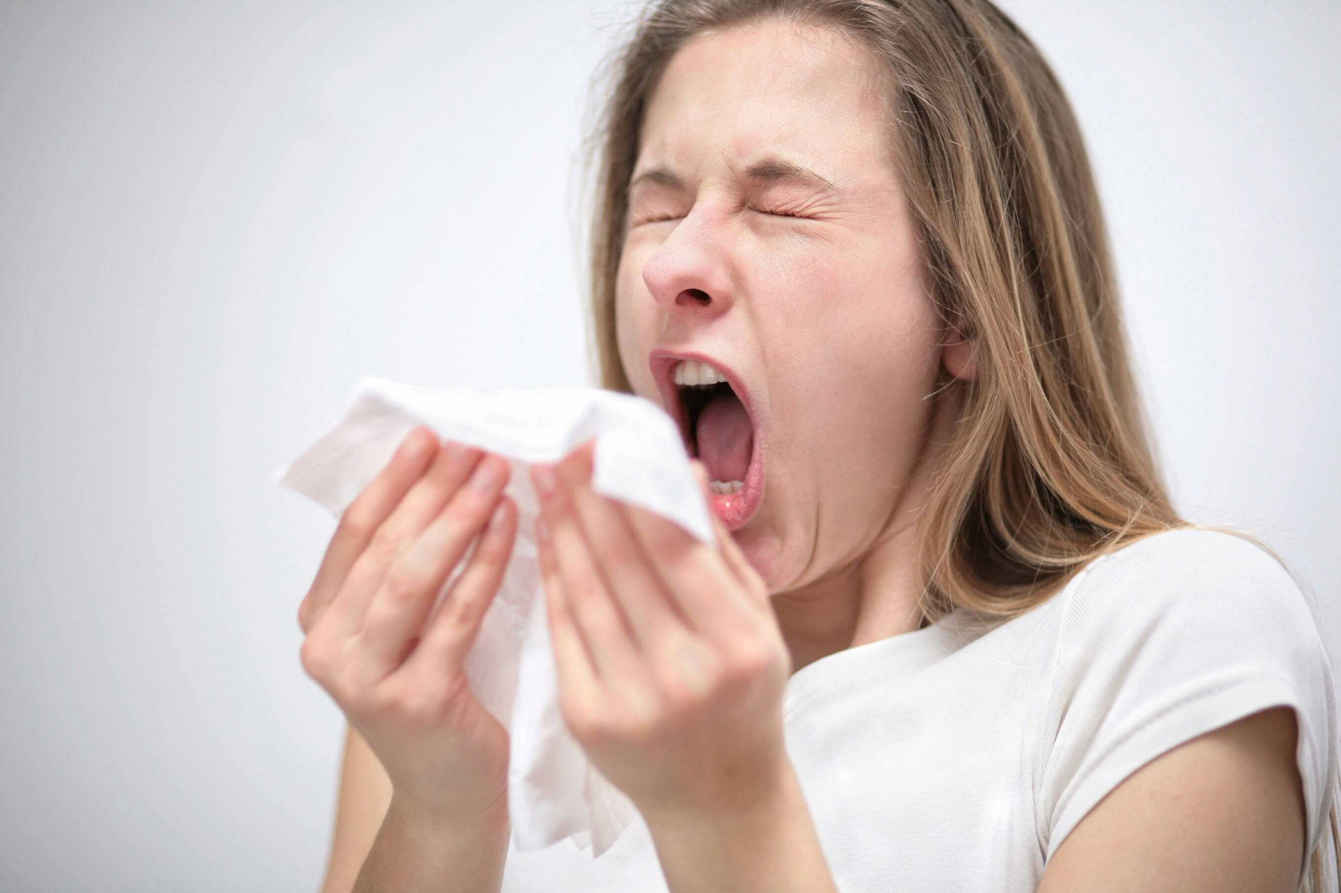 По каким причинам хорек может кашлять и чихать: бронхит, простудное заболевание, насморк, кардиомиопатия, пищевая аллергическая реакция, пыль, паразиты. Профилактика заболеваний.