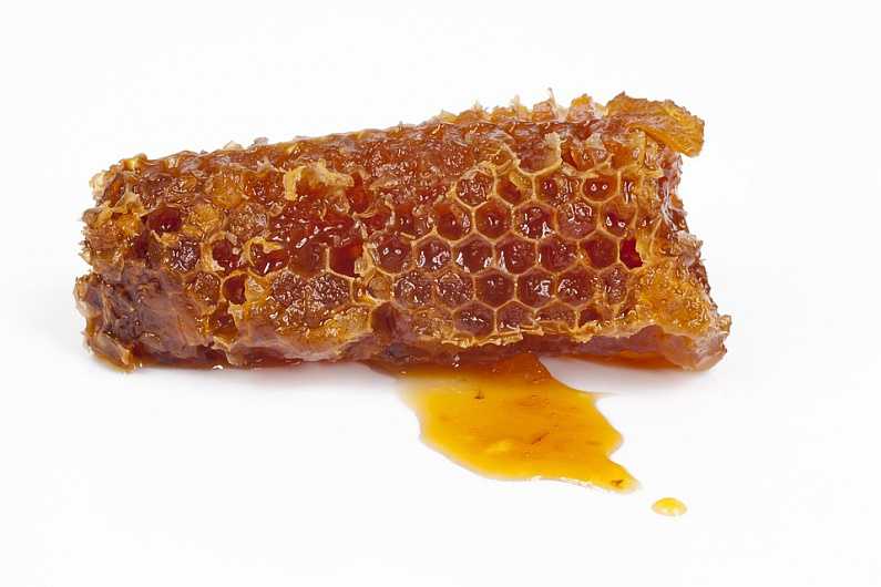 Мед с прополисом: полезные свойства, как принимать, рецепты приготовления