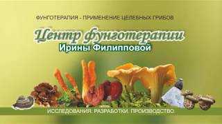 Траметес разноцветный - agroflora.ru