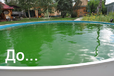Зеленка и перекись для бассейна: как разводить и дозировать перед применением, как очистить воду, чем заменить?