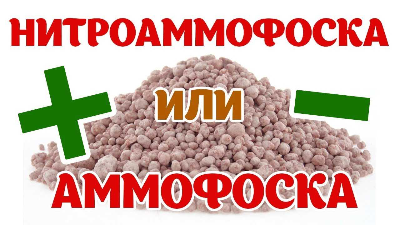 ᐉ азофоска для картофеля: инструкция и нормы удобрения - roza-zanoza.ru