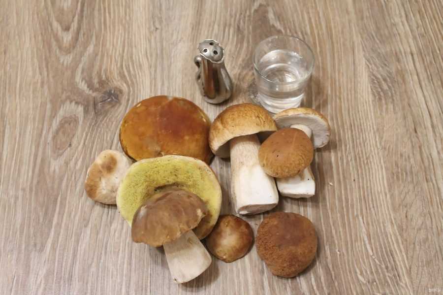 Белый гриб: состав и лечебные свойства, польза и вред для организма, калорийность продукта и правила приготовления, рекомендации по сбору боровиков