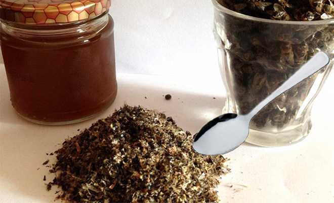 Лечение аденомы простаты пчелиным подмором: рецепты