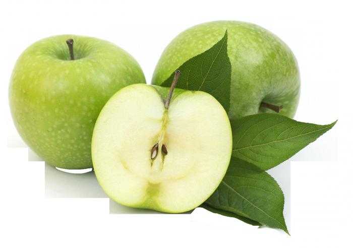 Сорт яблони семеренко: описание, фото