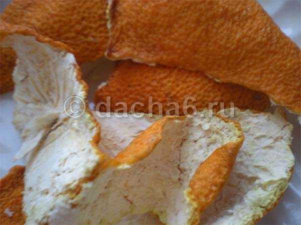 Применение апельсиновых и мандариновых корок на огороде как удобрения