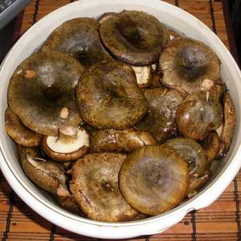 Заготавливаем грибы на зиму - 15 очень вкусных рецептов