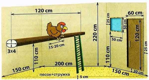 Пошаговая инструкция по изготовлению курятника на 5 куриц с чертежами, фото и видео
