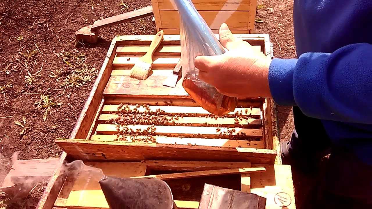Апимакс: инструкция по применению для пчел, отзывы пчеловодов