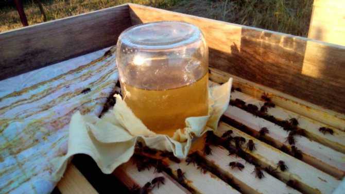 Подкормка пчел прошлогодним или старым медом