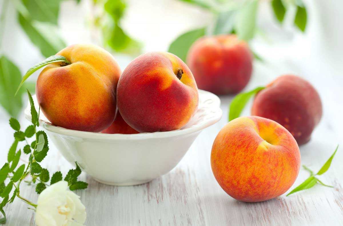 Персик из косточки: посадка и уход, как вырастить в домашних условиях?