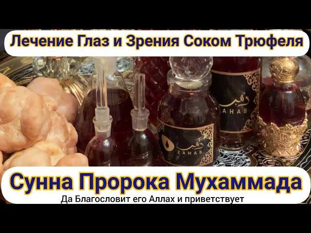 Польза, лечебные свойства и противопоказания к употреблению трюфеля | kazandoctor.ru
