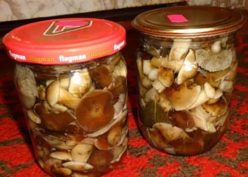 Жареные грибы на зиму: 5 лучших рецептов приготовления консервации, хранение