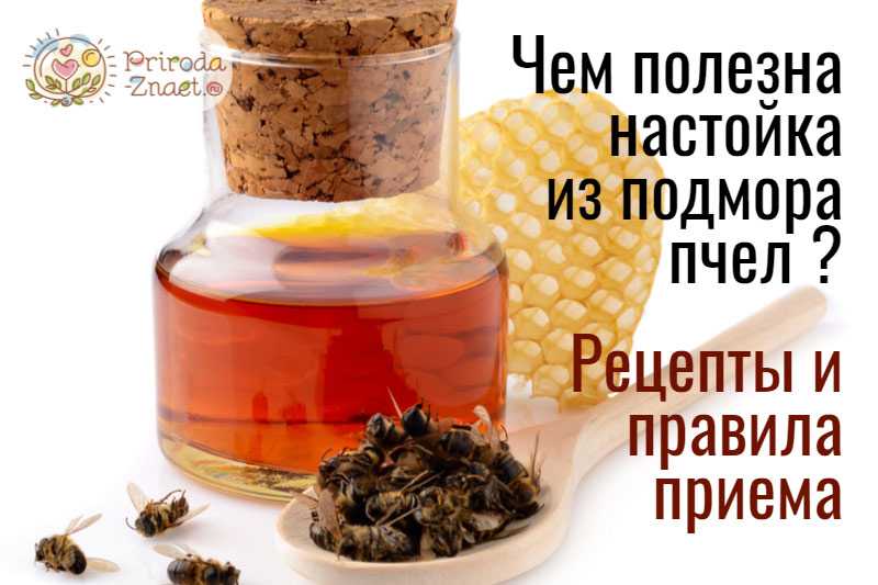 Подмор пчелиный: лечебные свойства для женщин, как принимать для суставов? -