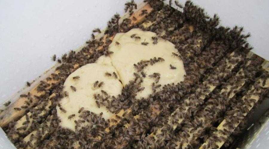 Добавление микроэлементов в сироп для подкармливания пчел