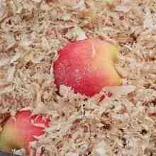 Хранение яблок в погребе с картошкой. как хранить яблоки на зиму? | дачная жизнь