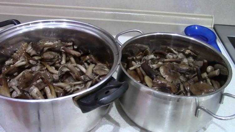 Сколько варить сыроежки перед засолкой. рецепт с пошаговыми фото засолки на зиму грибов сыроежек холодным способом