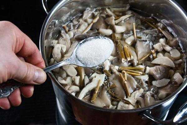 Как собирать и готовить грибы-зонтики
