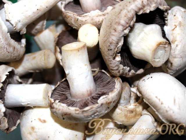 Как и сколько варить сушеные грибы? | infoeda.com