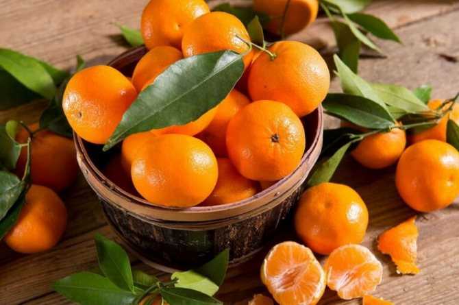 Почему апельсин называли “китайским яблоком”, каким он бывает и где растёт