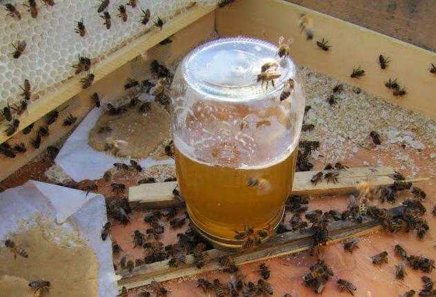 Сироп для пчел: весной, пропорции, как приготовить