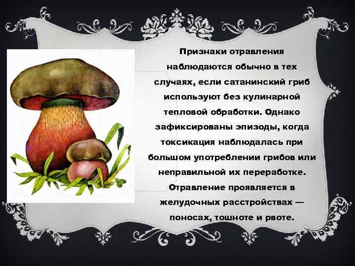 Ядовитый гриб зонтик: фото и описание несъедобного гриба, как отличить гриб зонтик от ядовитого двойника