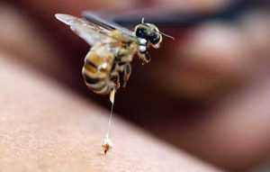 Апивир (флакон, 100 мл) | магазин пчеловодства "пчеловод ком"