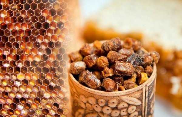 8 продуктов пчеловодства и их применение