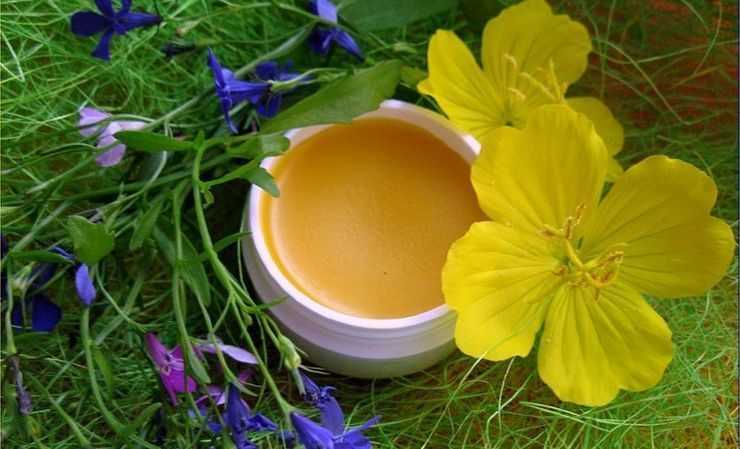 Чудо-мазь из пчелиного воска, желтка и масла: пошаговый рецепт, лечебные свойства