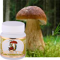 Гриб грибу рознь: свойства грибов – польза и вред