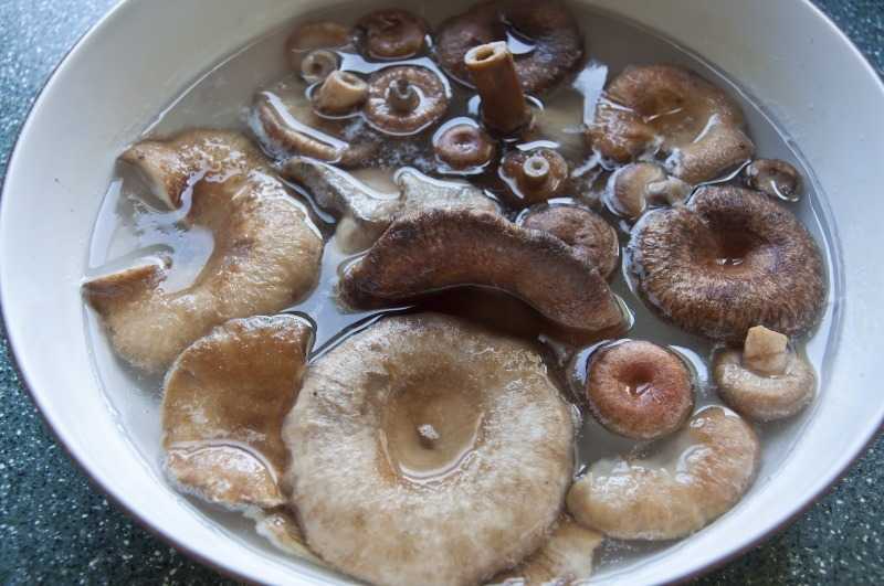 Закуска из грибов на зиму – пальчики оближешь: рецепт с фото и видео