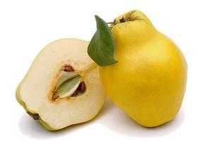 Айва – польза и вред для здоровья описание и состав фрукта, полезные свойства и противопоказания