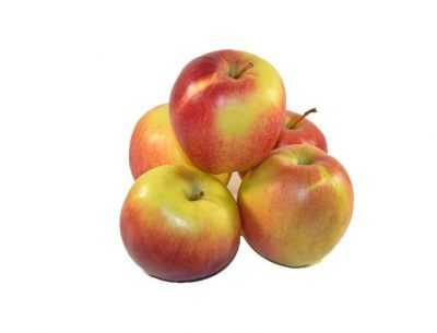 Яблоня лигол — особенности выращивания
