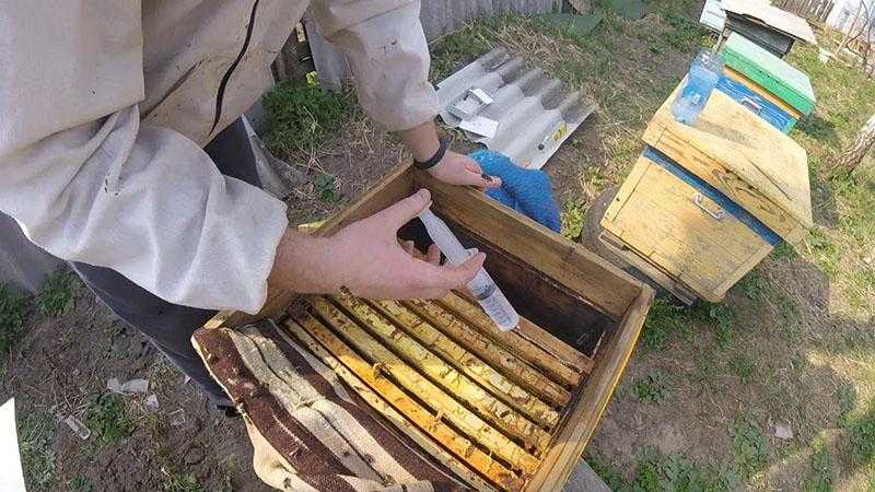 Как обрабатывать пчел Бипином осенью, особенности приготовления состава с керосином, правила обработки. Ограничения и противопоказания к применению.