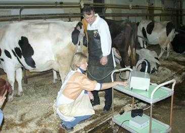 Как определить стельность коровы в домашних условиях и народными средствами: ректальное исследование или по молоку
как определить стельность коровы в домашних условиях и народными средствами: ректальное исследование или по молоку