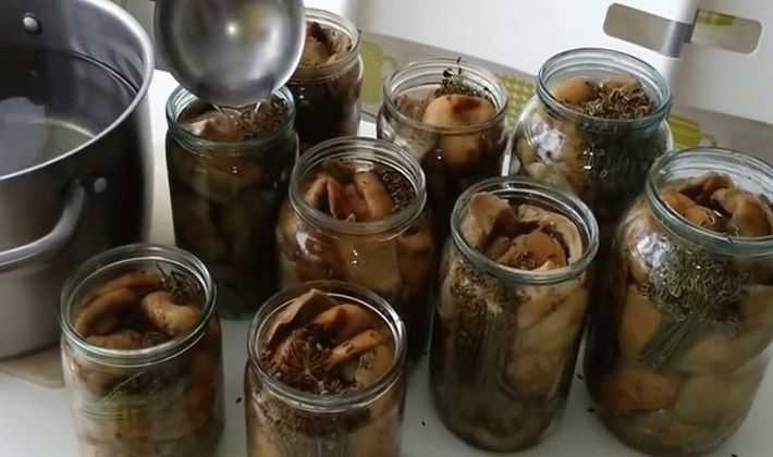 Забродили соленые или маринованные рыжики: что делать, как спасти грибы и можно ли их есть