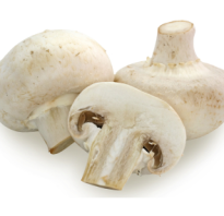 ✅ гриб ложный трюфель: фото, похожие на трюфель грибы, съедобные они или нет - tehnoyug.com