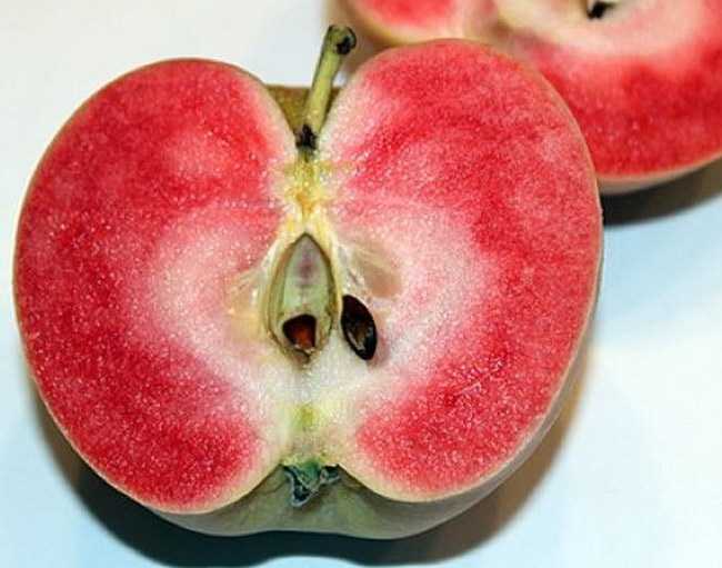 Сорт яблок Розовый жемчуг: описание, фото, отзывы садоводов. Советы по выращиванию и уходу за культурой.