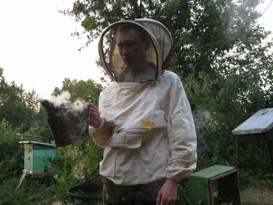 Как сделать пчелопакет своими руками: чертежи и советы